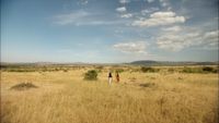 &sbquo;Population Boom&lsquo; Werner Boote und Francis Kamakia, Serengeti